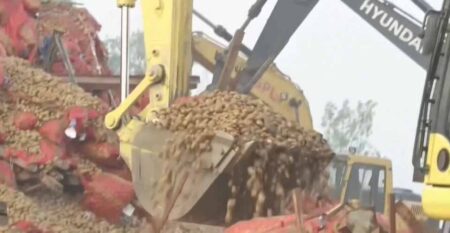 At least 14 killed by avalanche of potatoes after cold storage roof collapses