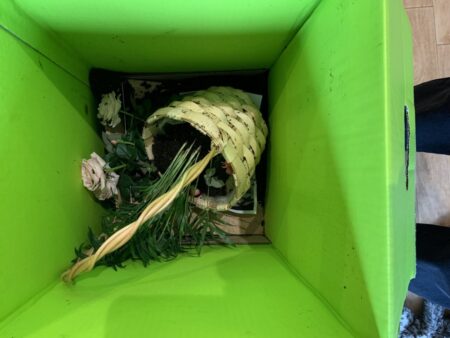 Mum’s flowers for Mother’s Day from Waitrose arrived broken and covered in soil