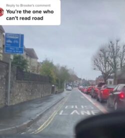 Driver using bus lanes divides opinion but he says people just need to read the signs