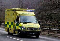 Baby taken to hospital after dog attack