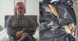 Mum ‘at breaking point’ says she sees 10 mice a day in her ‘infested’ flat