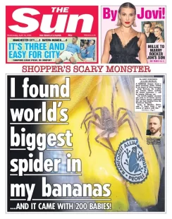 The Sun – I found world’s biggest spider in my bananas 