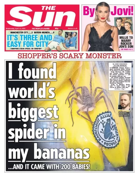 The Sun - I found world’s biggest spider in my bananas