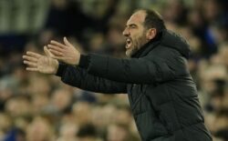 Tottenham sack interim manager after Newcastle thrashing