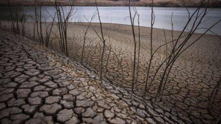 Southern European countries want EU funds to deal with increased drought levels