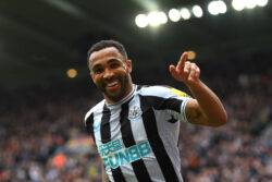 Callum Wilson absent from Newcastle United training ahead of Brighton clash