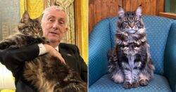 Speaker Sir Lindsay Hoyle’s cat has done a ‘mouse check’ ahead of the coronation