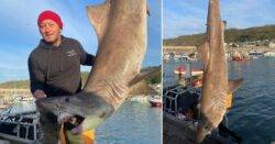 Rare 10ft long razor-toothed shark found in only ‘third ever sighting off UK’