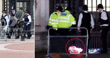 Buckingham Palace attack suspect detained under Mental Health Act
