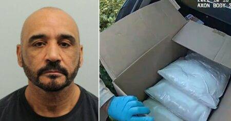 Dealer caught hauling box so full of drugs he could barely lift it