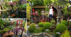 Man turns back garden into a Zen haven – and you can too