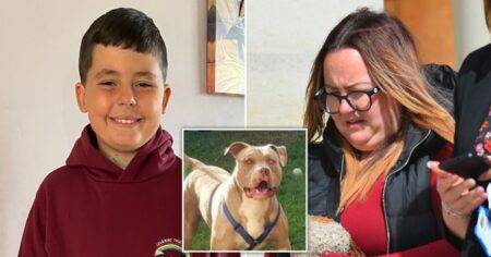 Mum of boy, 10, killed in XL Bully dog attack calls for law change