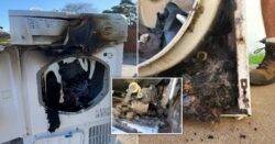 Warning over tumble dryer fires as millions admit they never clean filters