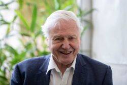 Sir David Attenborough picked as top choice to represent Earth if we ever make contact with aliens