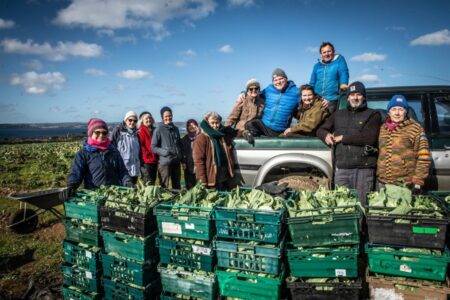 Farms throw out tonnes of good veg – I rescue it for food banks