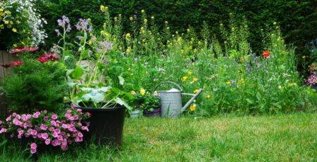 Forget manicured lawns, why you should let your garden go a little wild this spring and summer
