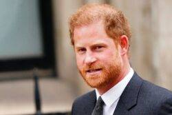 Prince Harry loses bid to challenge UK government over security