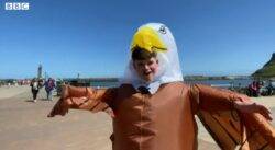 Chippy hires teenager to wear eagle costume and scare off seagulls