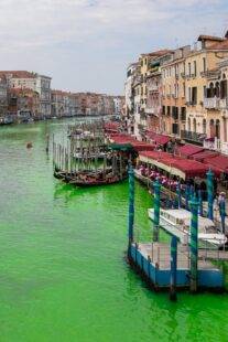 Venice’s canal has turned green and no one can work out why