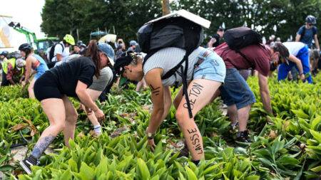 France outlaws climate activist group involved in protest against agro industry reservoirs