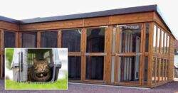 Plans for cattery in back garden approved despite concerns over ‘loud meows’
