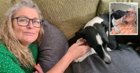 ‘My dog sniffed out my breast cancer – she’s a little lifesaver’