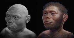 Human ‘Hobbit’ ancestors lived on Earth 50,000 years ago. Now we know what they looked like