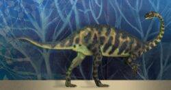 Scientists discover new dinosaur species, no bigger than a St. Bernard