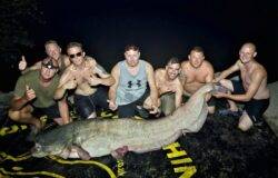 Lads on holiday pose with 250lb catfish after one of them reels in monster catch