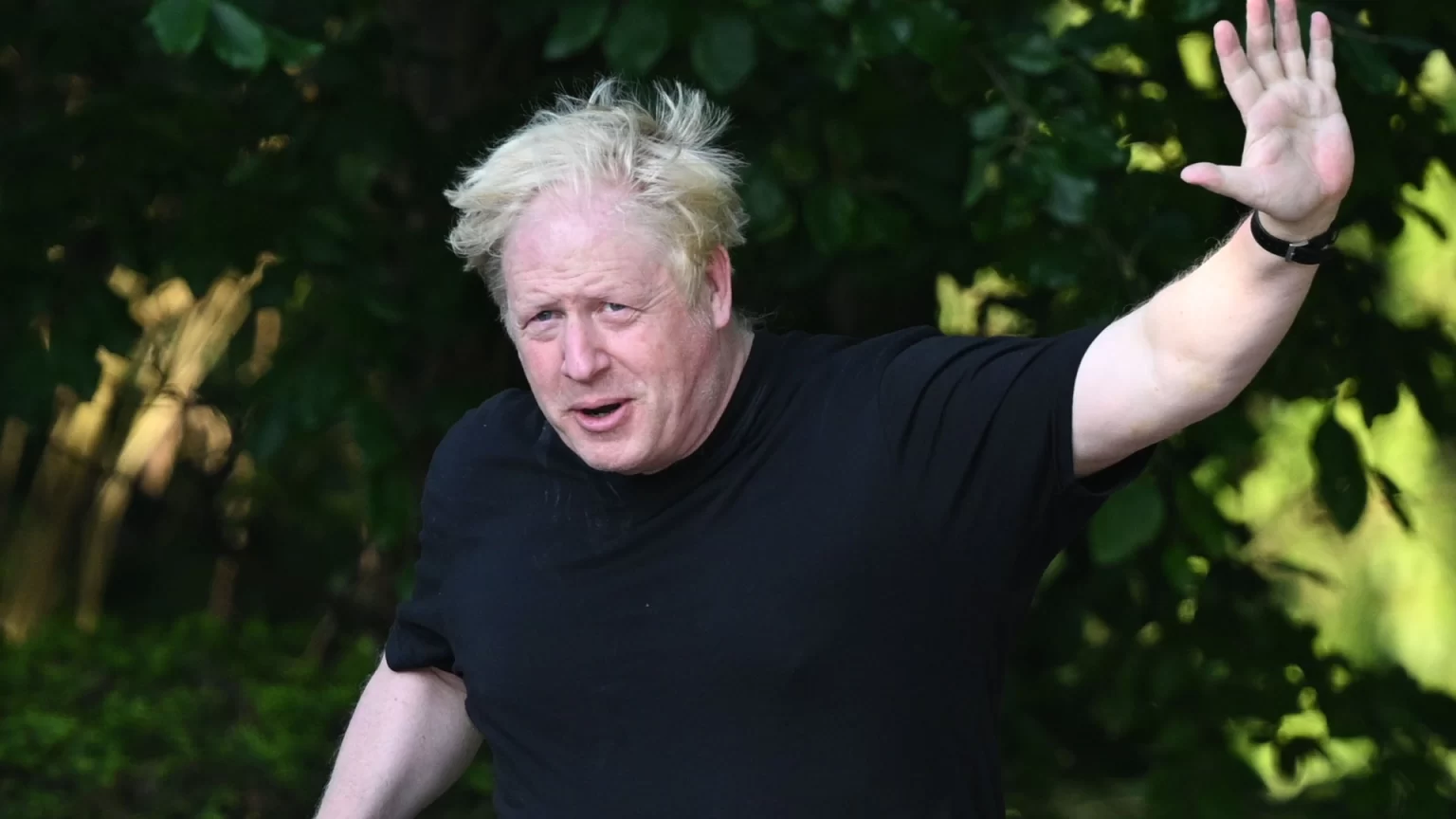 Imagine Boris Johnson with the populist appeal and none of the chaos? Now that would be worth voting for