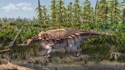 New dinosaur species discovered on Isle of Wight