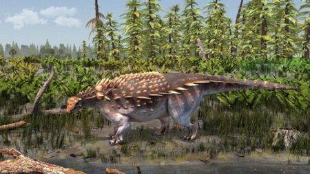 New dinosaur species discovered on Isle of Wight