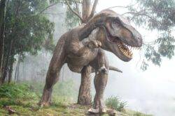 Scientists uncover the surprising secret behind dinosaurs’ massive size