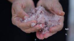 ‘Watermelon snow’: Is Utah’s pink snow linked to climate change?