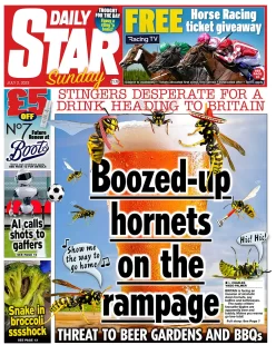 Daily Star – Boozed up hornets on the rampage