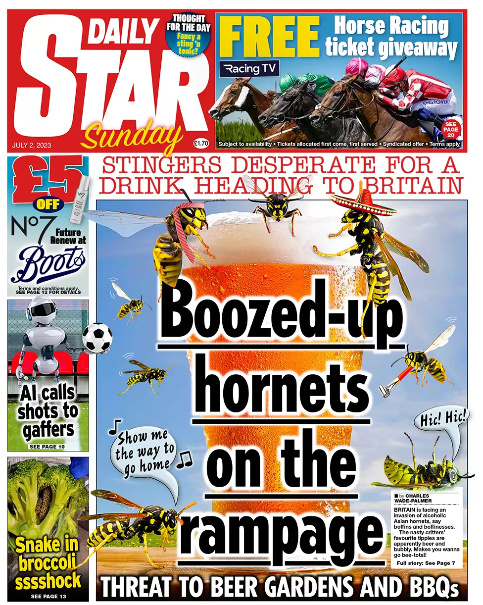 Daily Star - Boozed up hornets on the rampage