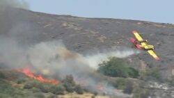 Two pilots die after plane crashes whilst trying to battle Greece wildfires 