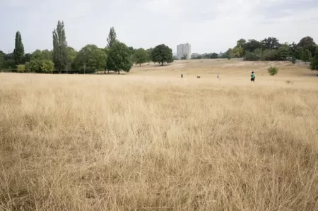 Met Office says 40C heatwave weather becoming more likely in UK after wet start to summer