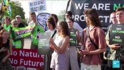 EU nature restoration law: Parliament faces cliffhanger vote on nature protection