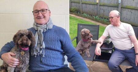 Hero dog saved owner’s life after he collapsed on walk in ‘Lassie-style’ rescue