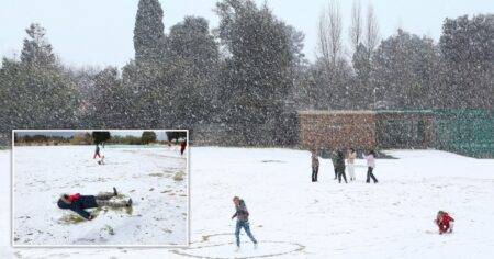 It is snowing in Johannesburg for the first time in 11 years