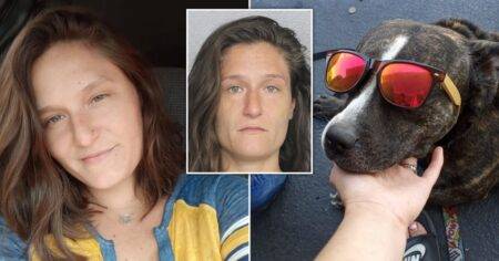 Dog dies after being left in hot car as owner is arrested