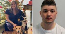 Drink-driver jailed for killing woman and her three dogs in crash