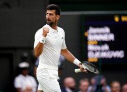 Novak Djokovic cruises into Wimbledon final with victory over Jannik Sinner