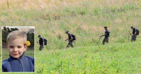 Missing French boy, 2, feared hit by combine harvester walking in long grass