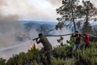 25 people killed and 1,500 evacuated as wildfires spread across Algeria