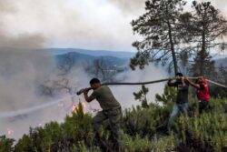25 people killed and 1,500 evacuated as wildfires spread across Algeria