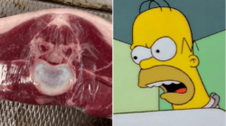 Butcher spots Homer Simpson’s angry face in a lamb chop: ‘It sold very quickly’