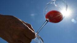 France, EU to spend 200 million euros on destroying surplus wine