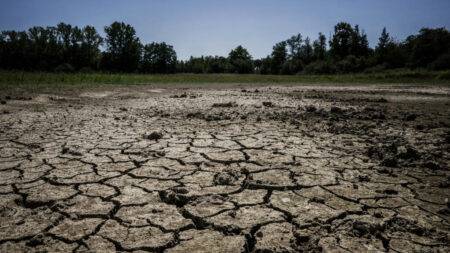 ‘Intense and long-lasting’ heatwave hits France, record temperatures expected